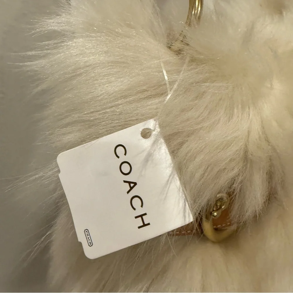 Coach rare lambs