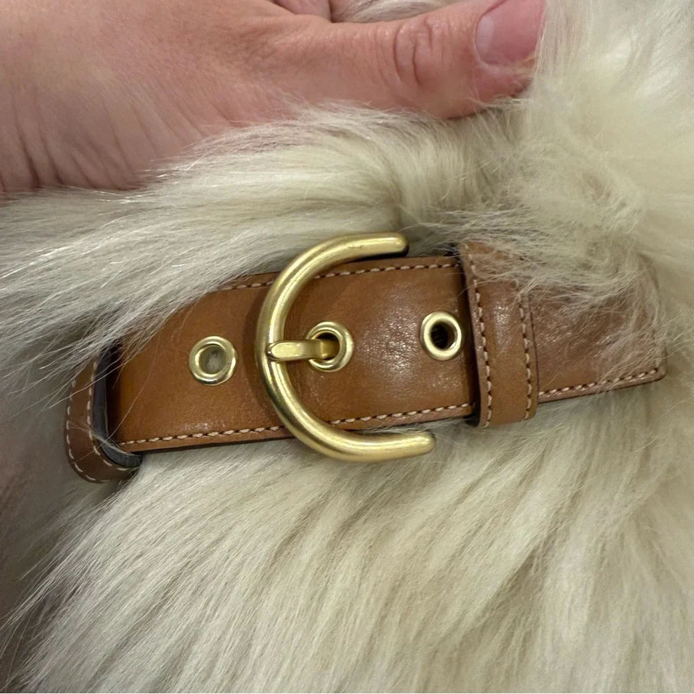 Coach rare lambs