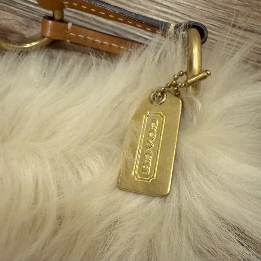 Coach rare lambs