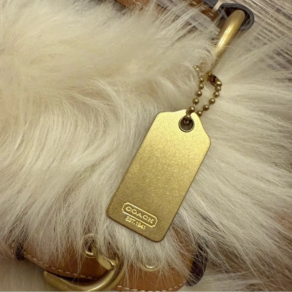 Coach rare lambs