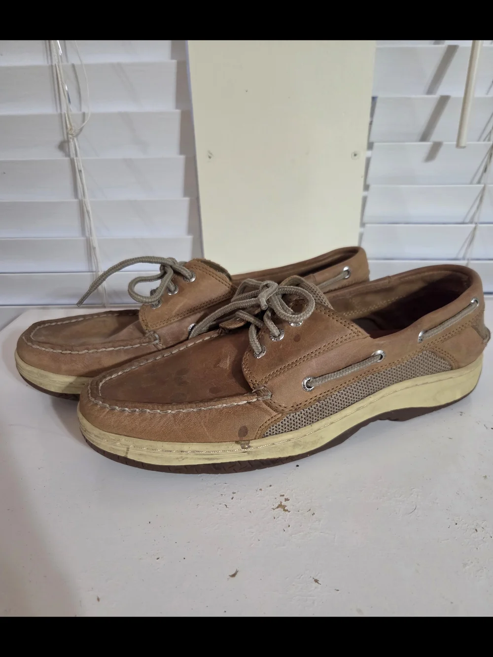 Sperry billfish eye