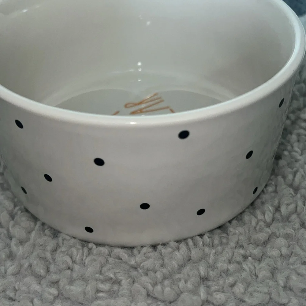 New Rae Dunn Halloween peanuts snoopy dog food bowl