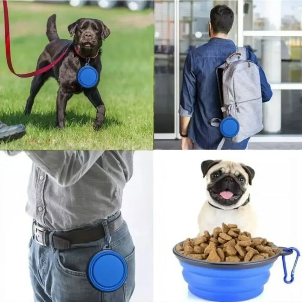 N/A collapsible dog