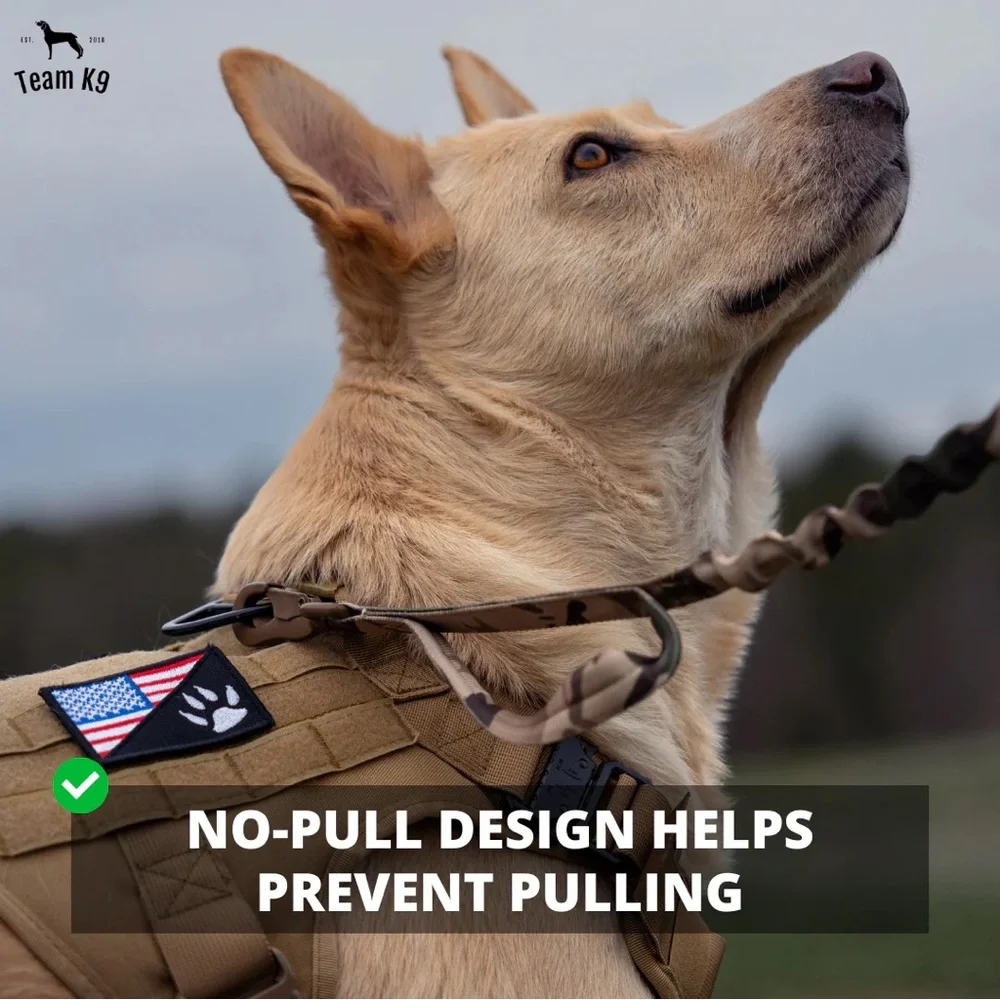 Team K9 designed reinforced