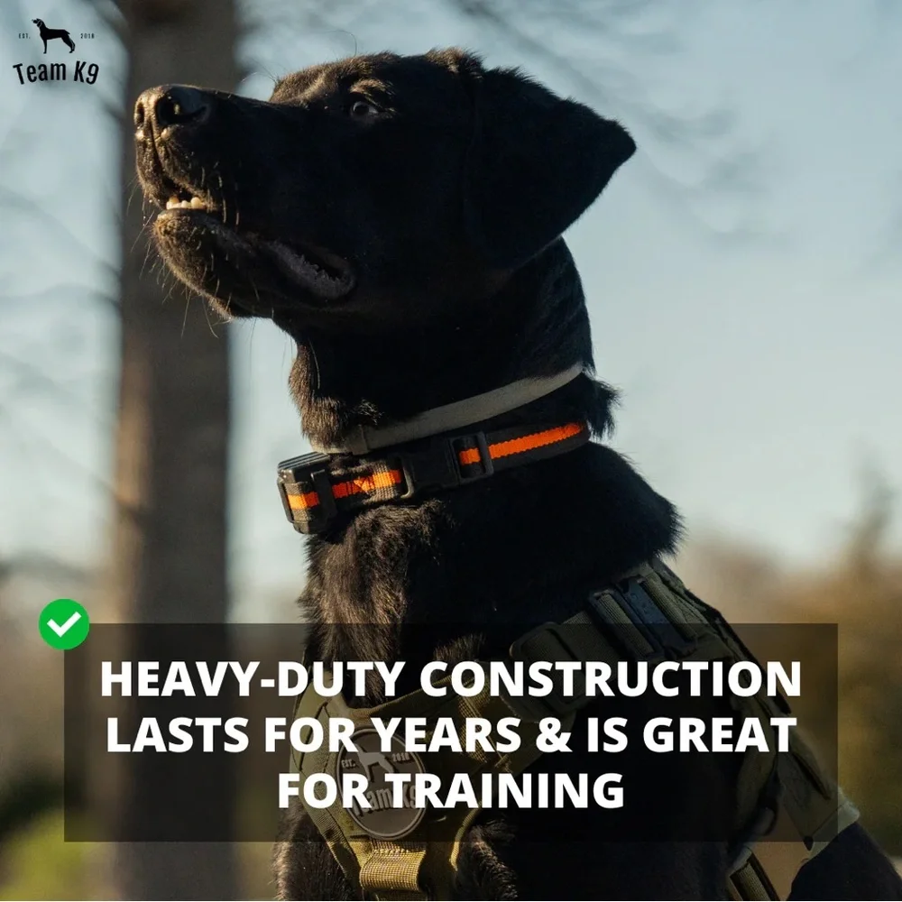 Team K9 everyday reinforced design