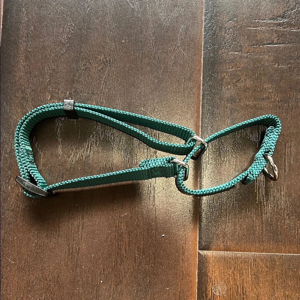 hyhug green martingale