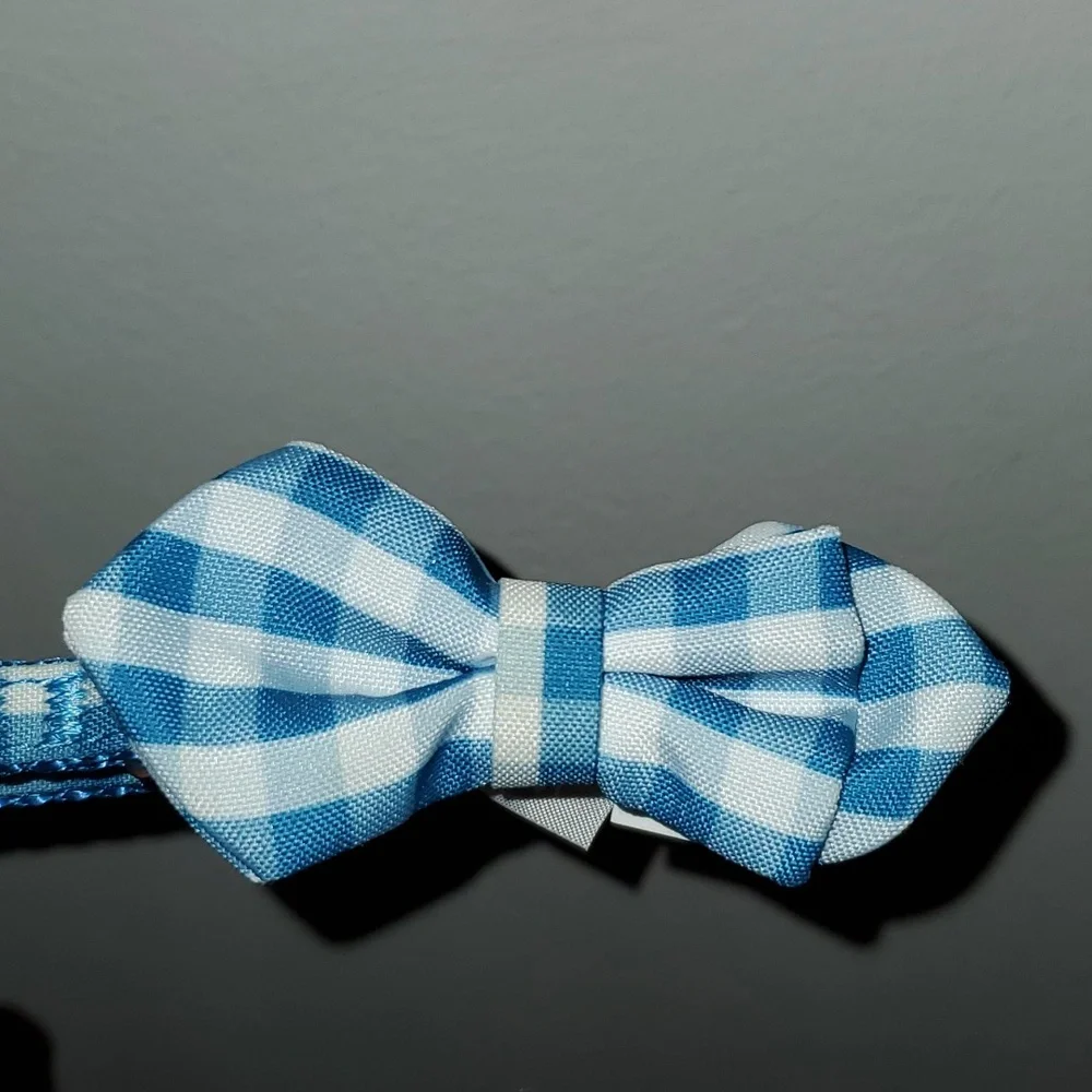 Top Paw blue white