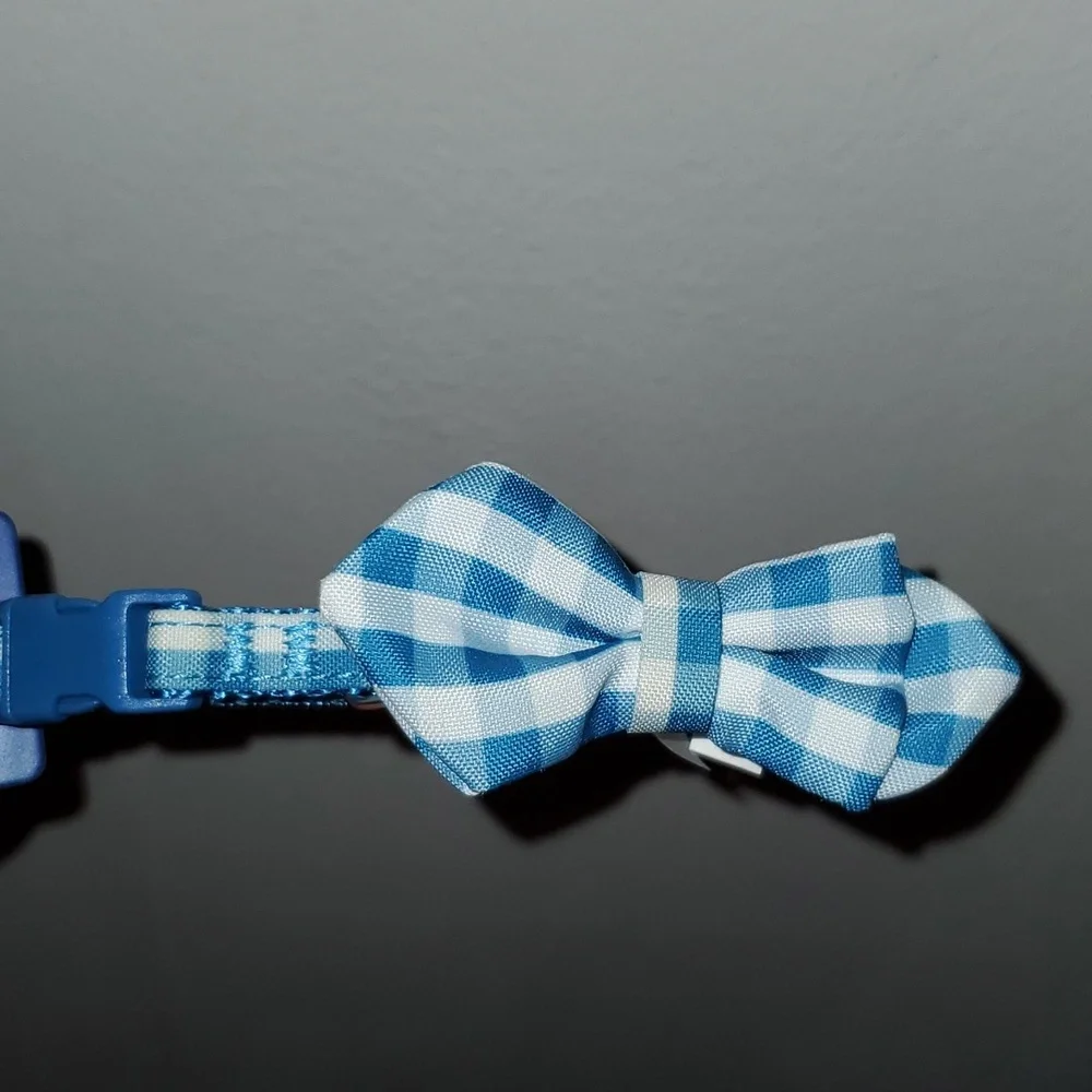 Top Paw blue white