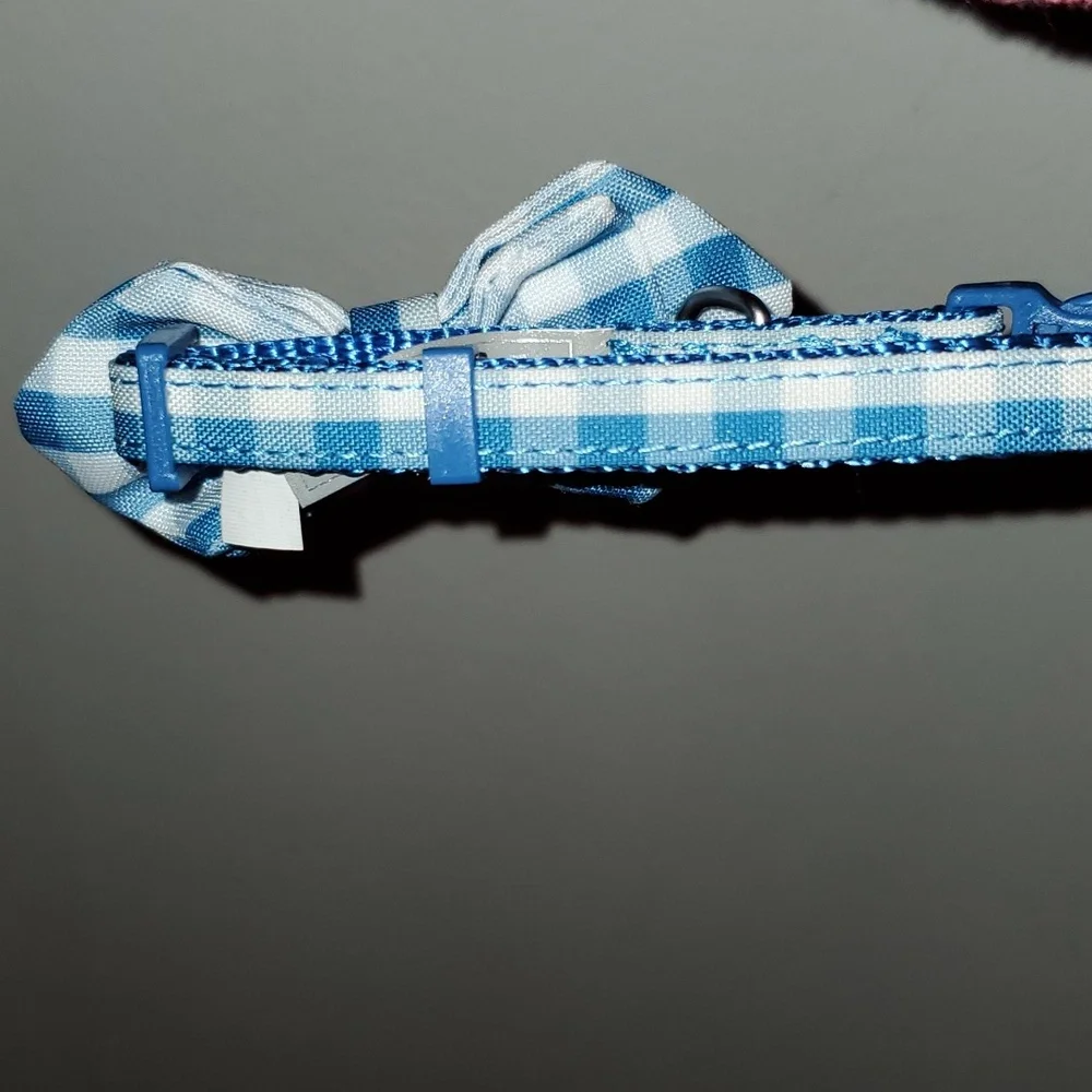 Top Paw blue white