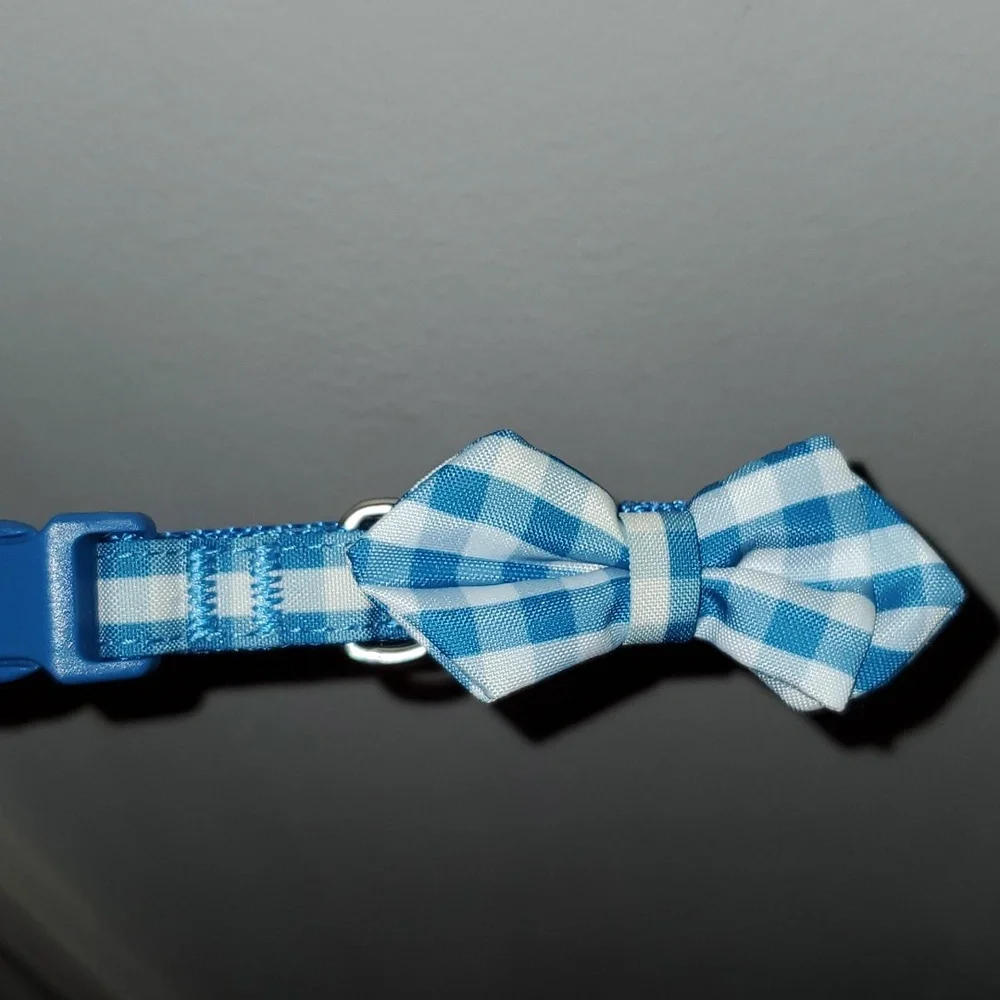 Top Paw blue white