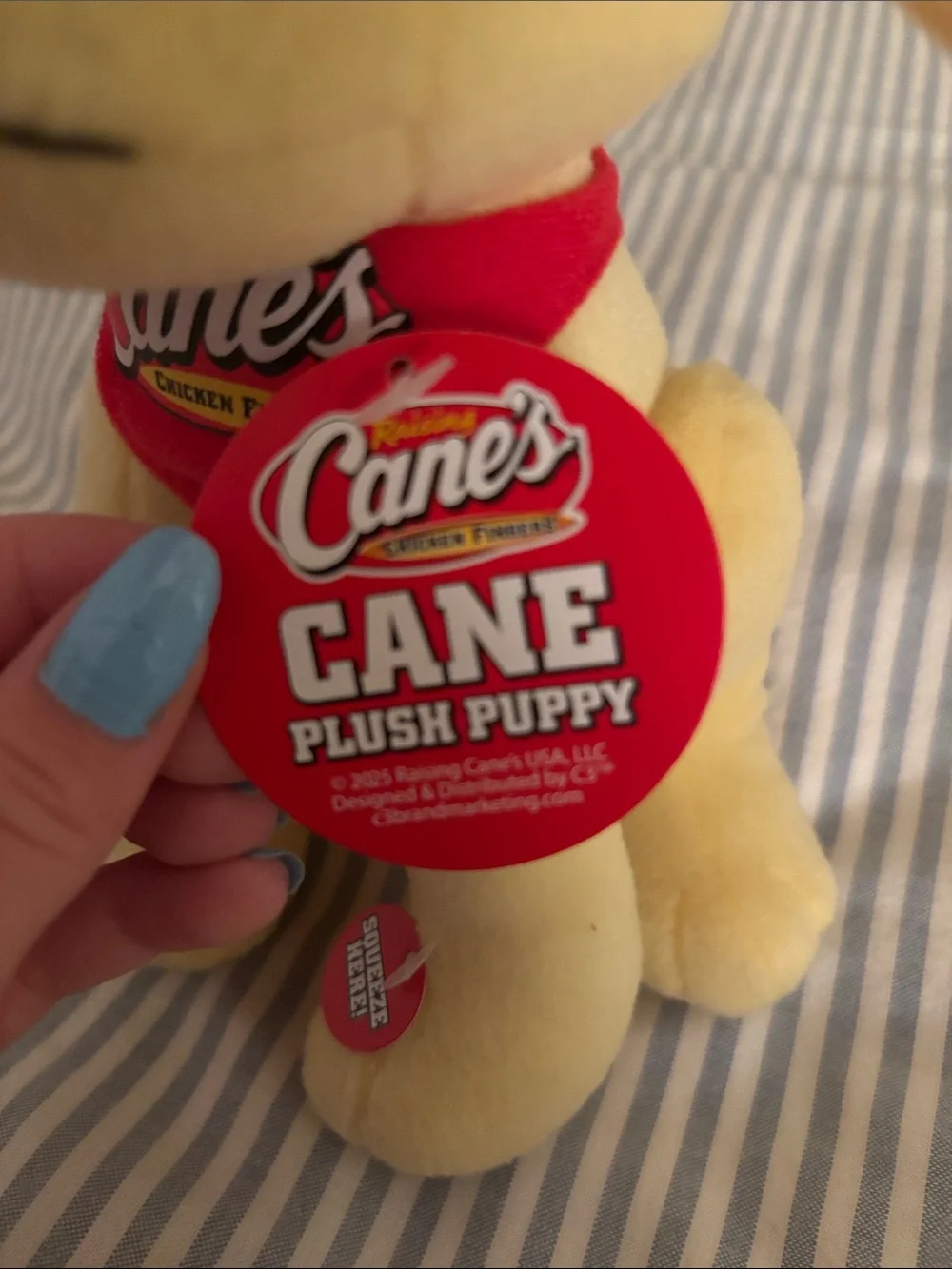 Canes official dog