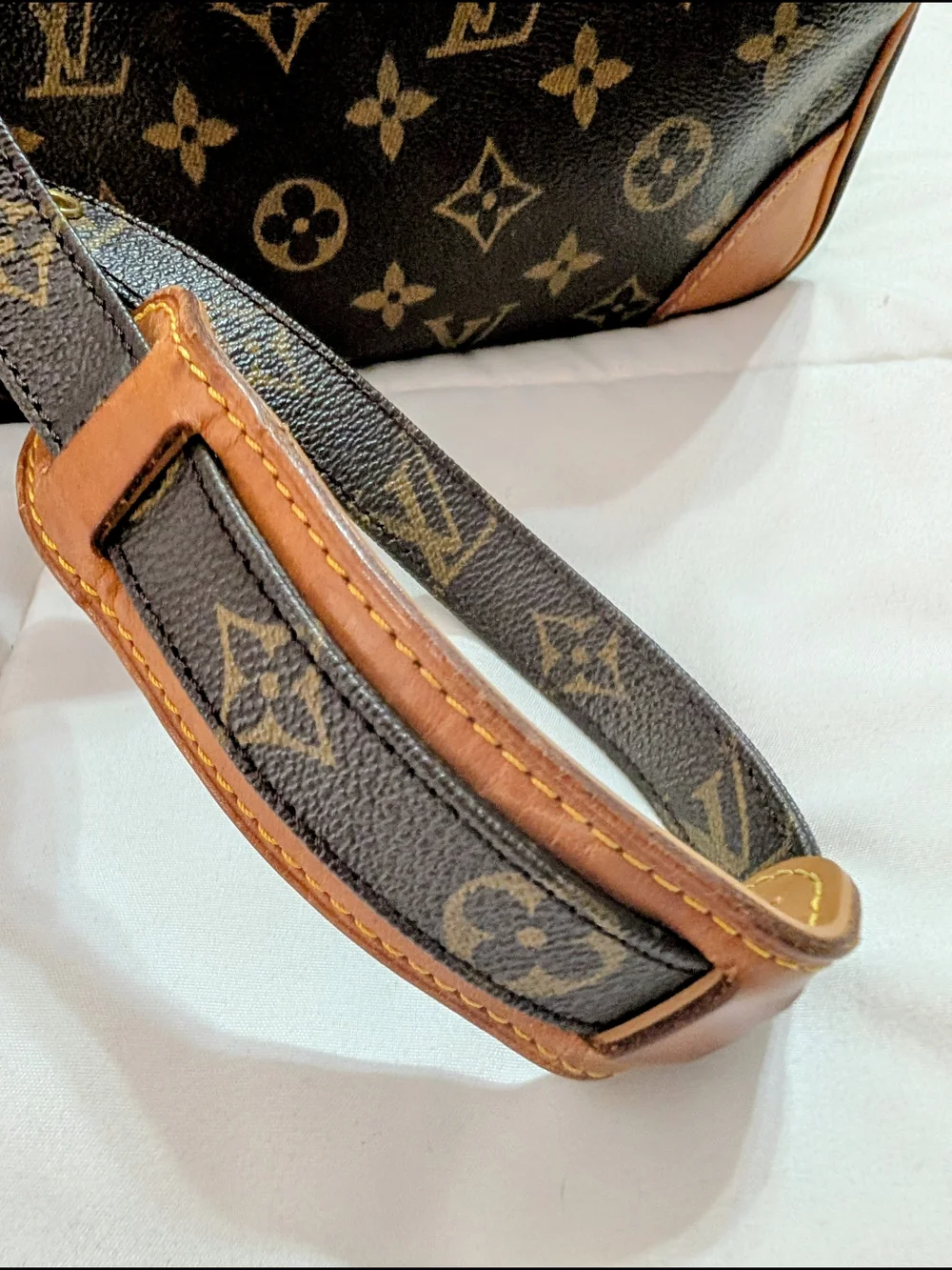 Louis Vuitton classic louis