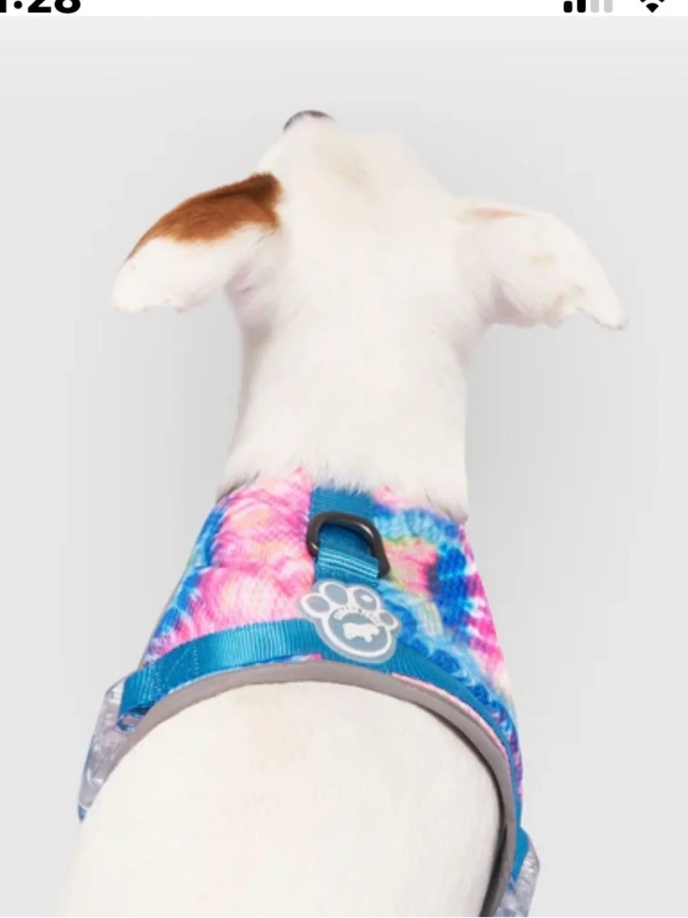 Canada Pooch this really