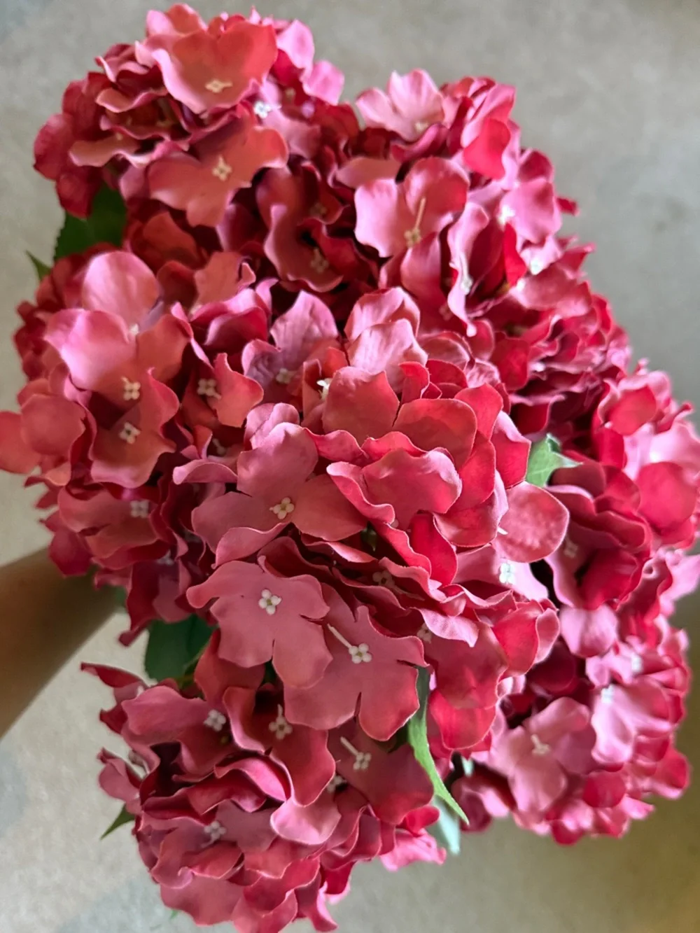 N/A vibrant pink
