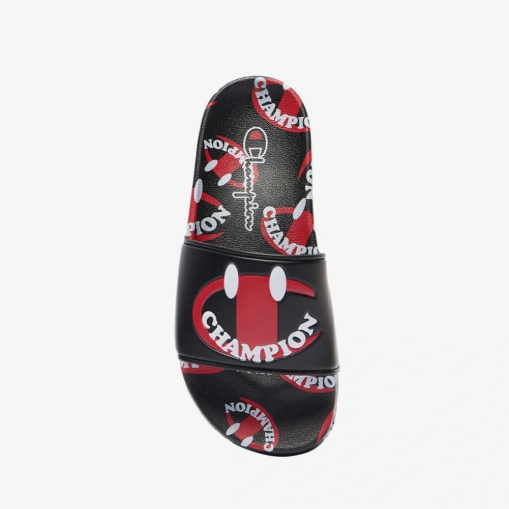 NIB Champion Slides