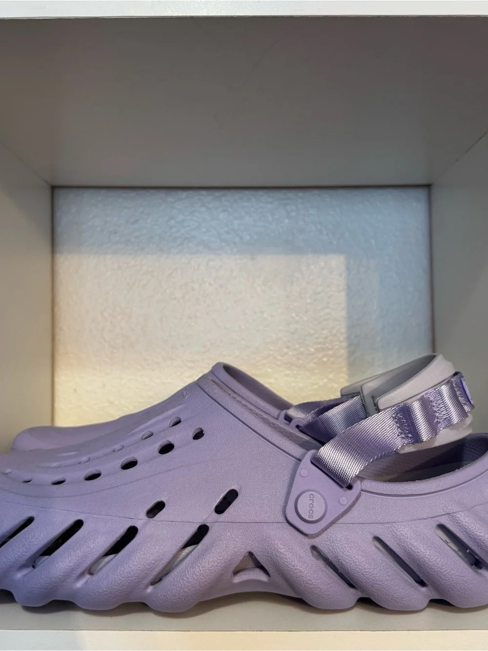 CROCS echo clog
