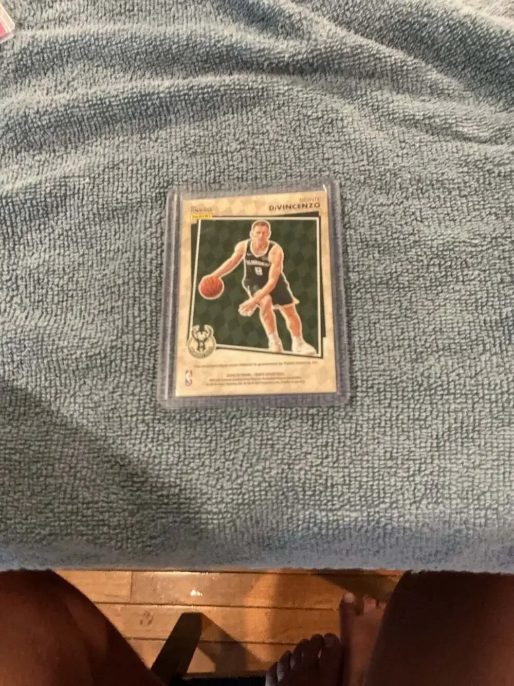 Panini 2018 19