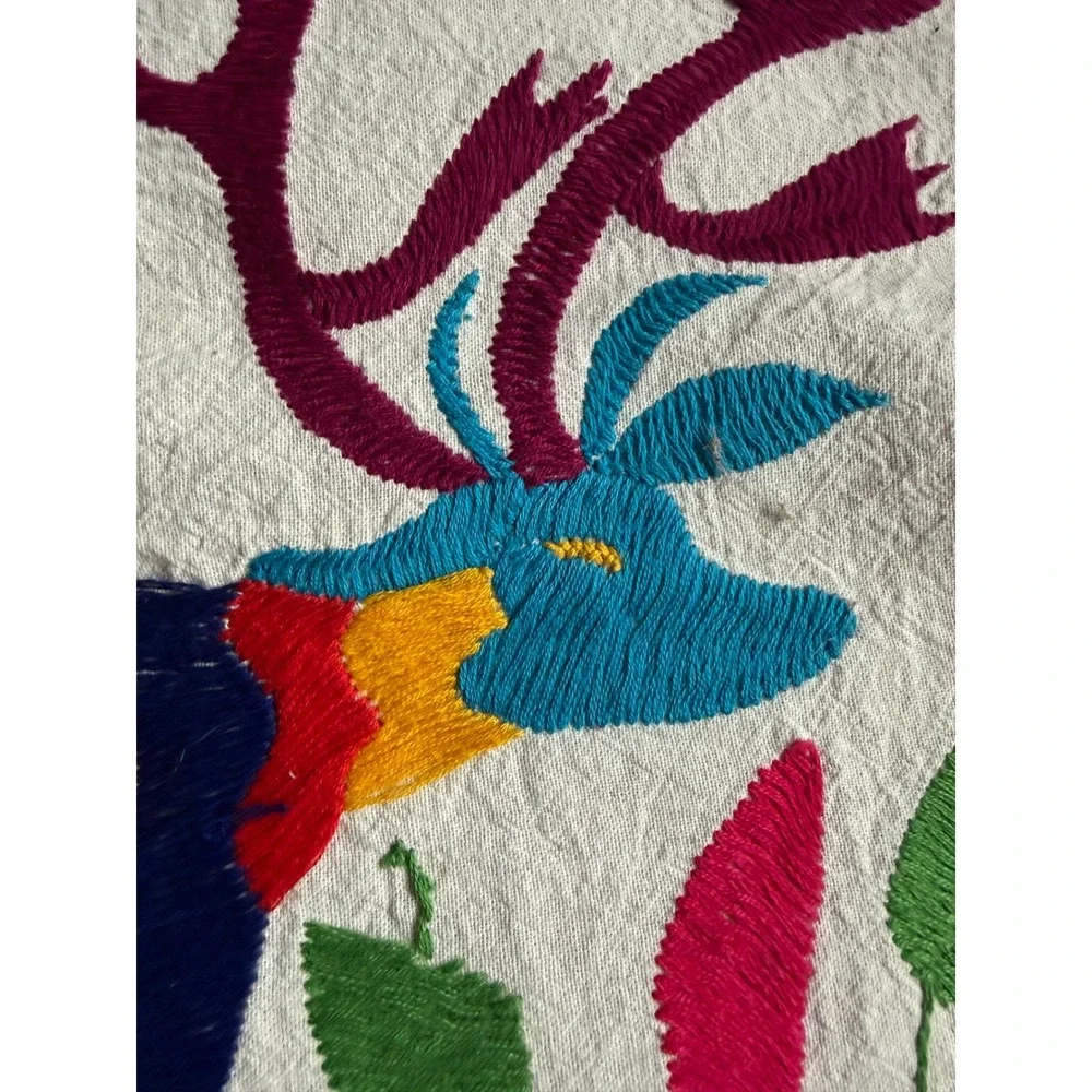N/A otomi tenango