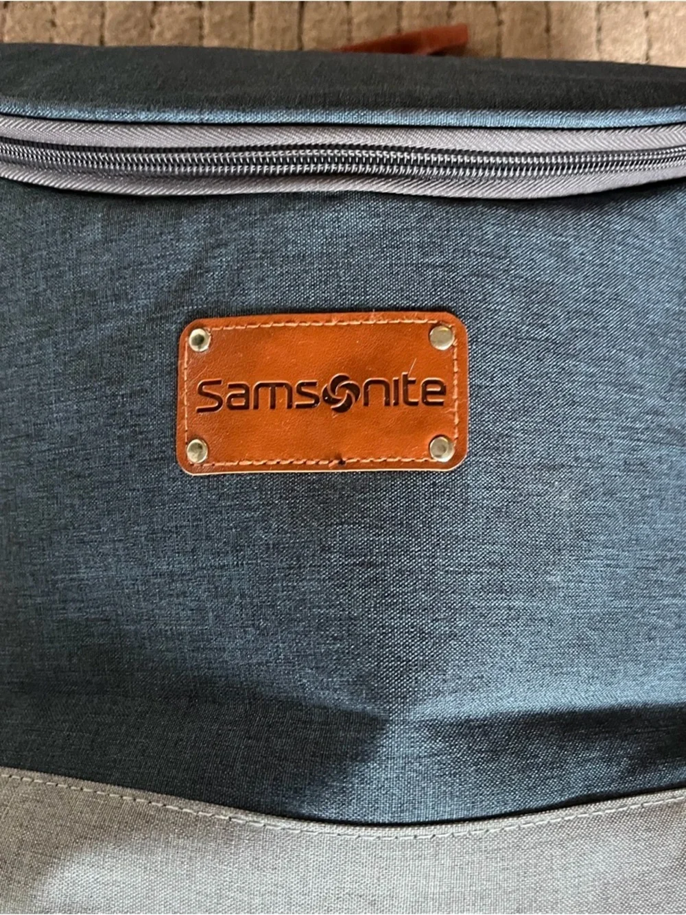 Samsonite Men's Two-Tone Blue Backpack Cooler