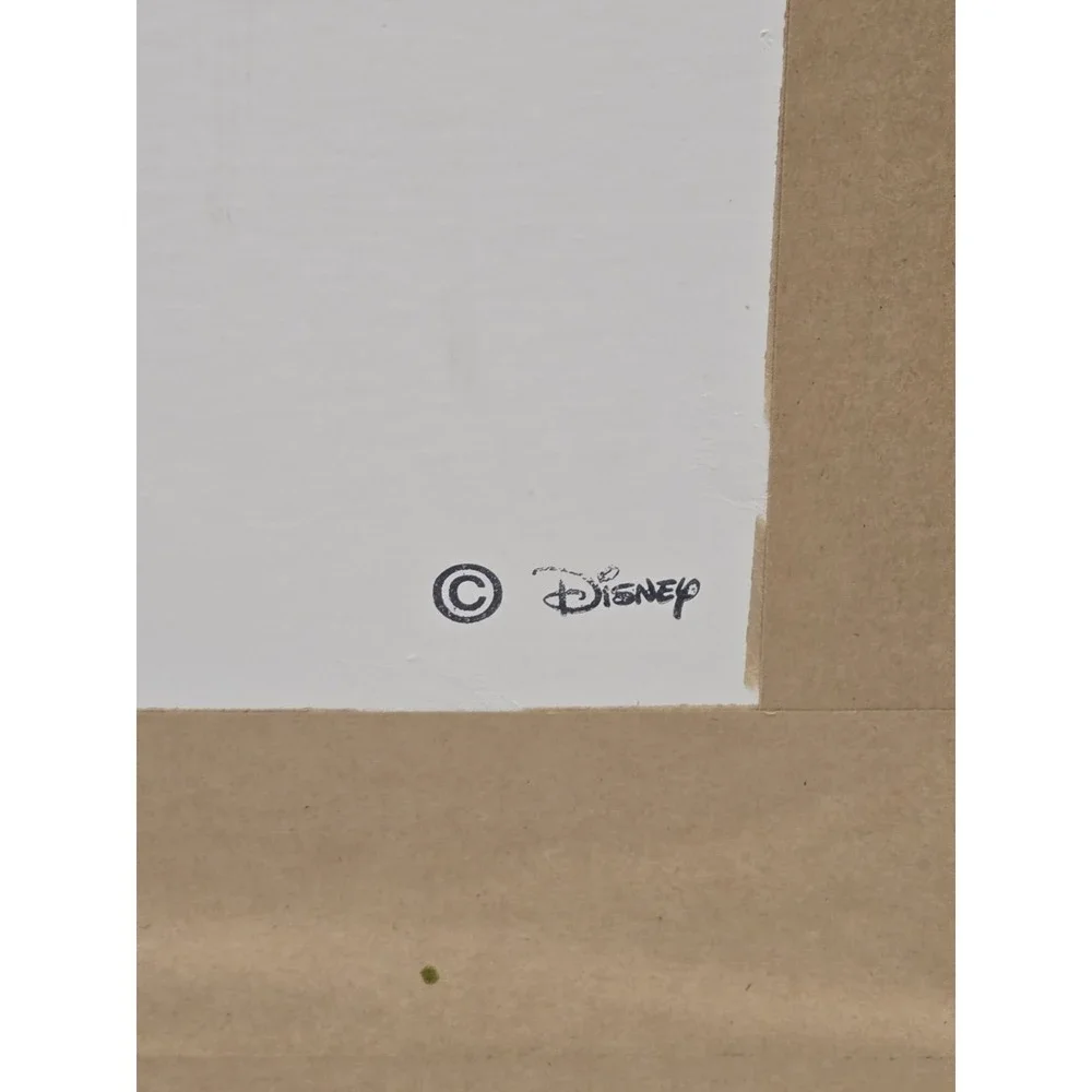 Disney commemorative framed