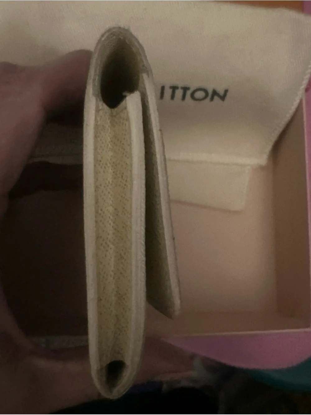 Louis Vuitton daily versatile