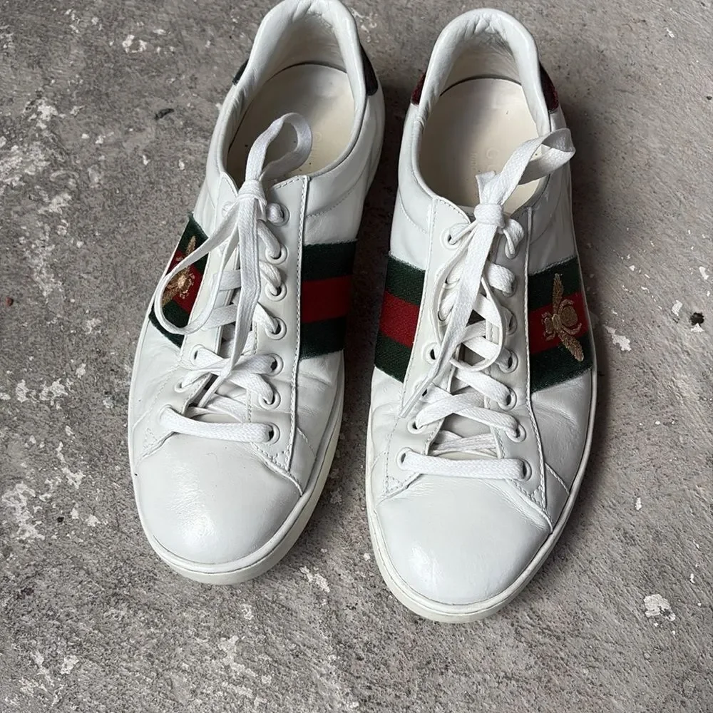 Gucci acel bee sneaker