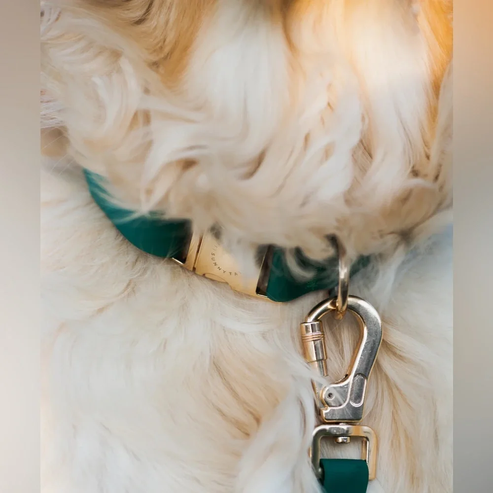 Sunny Tails green silicone