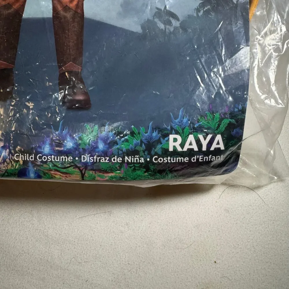 Disguise disney rays