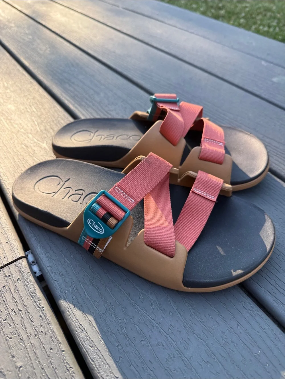 Chaco gently shipper