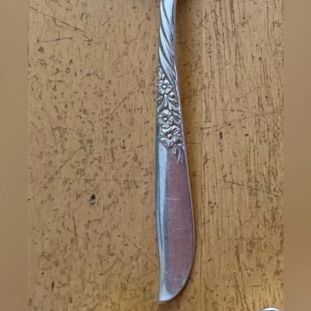 Wm Rogers Oneida Wildwood I Always Silver Plate 10 Pieces Spoons Knife Fork 1958