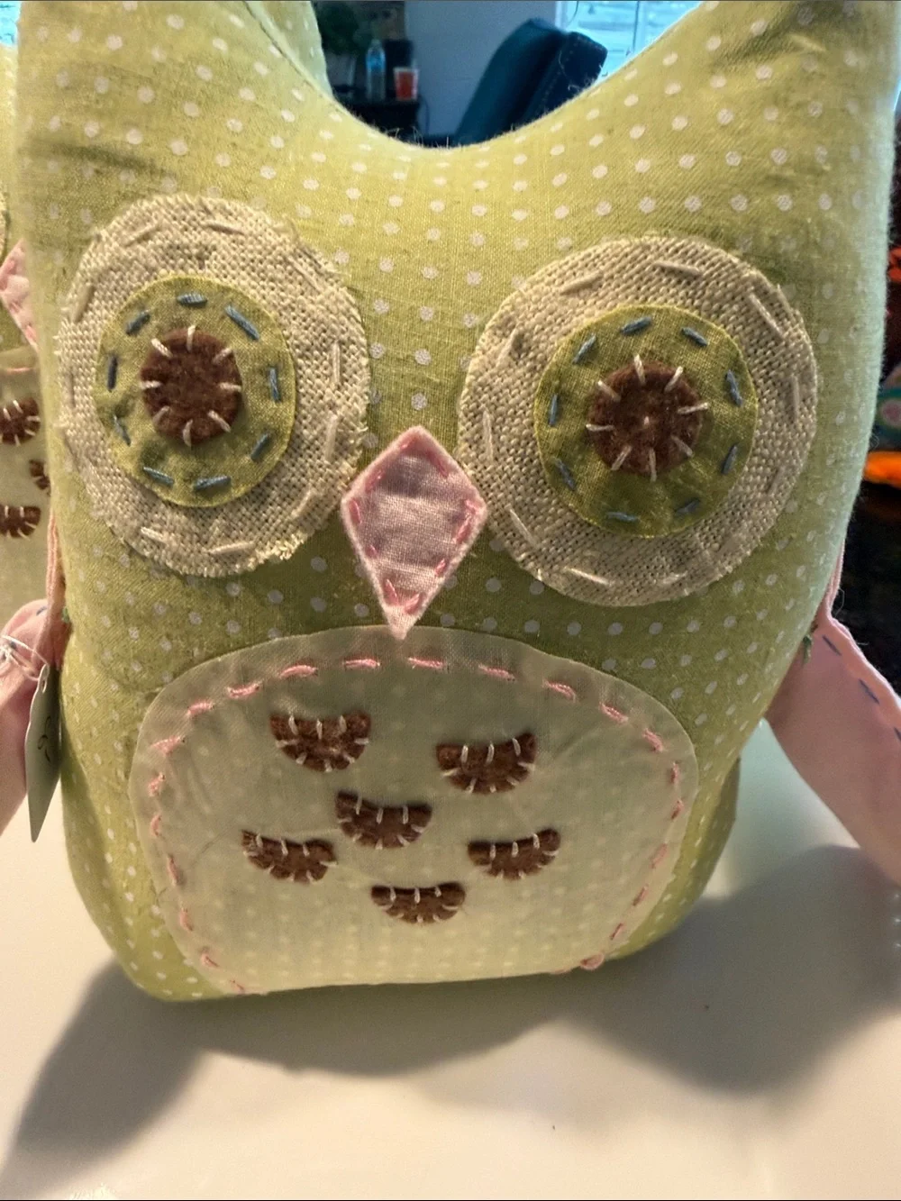 Pottery Barn Kids details embroidered