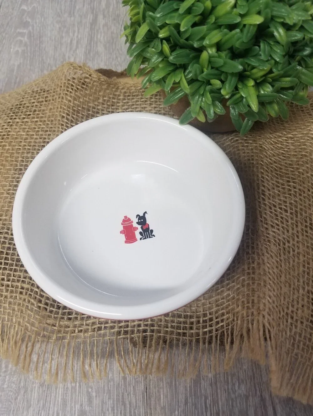 Signature Housewares this dog