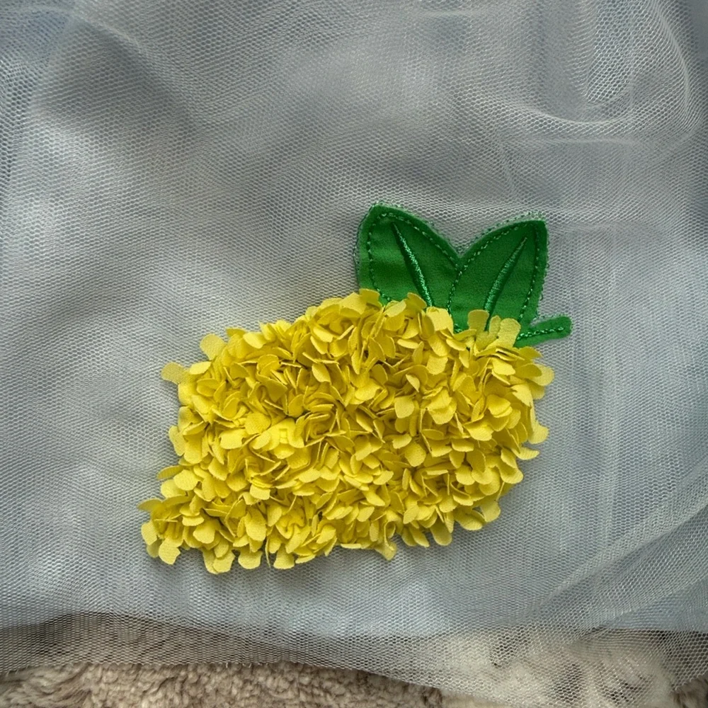 Cynthia Rowley blue dress girls size 6 lemon embroidery garden party summer