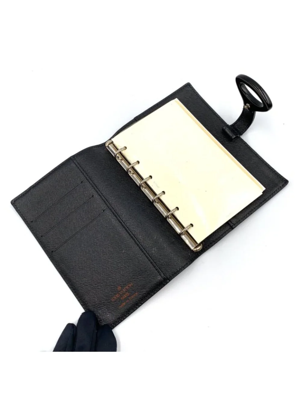 Louis Vuitton brand louis