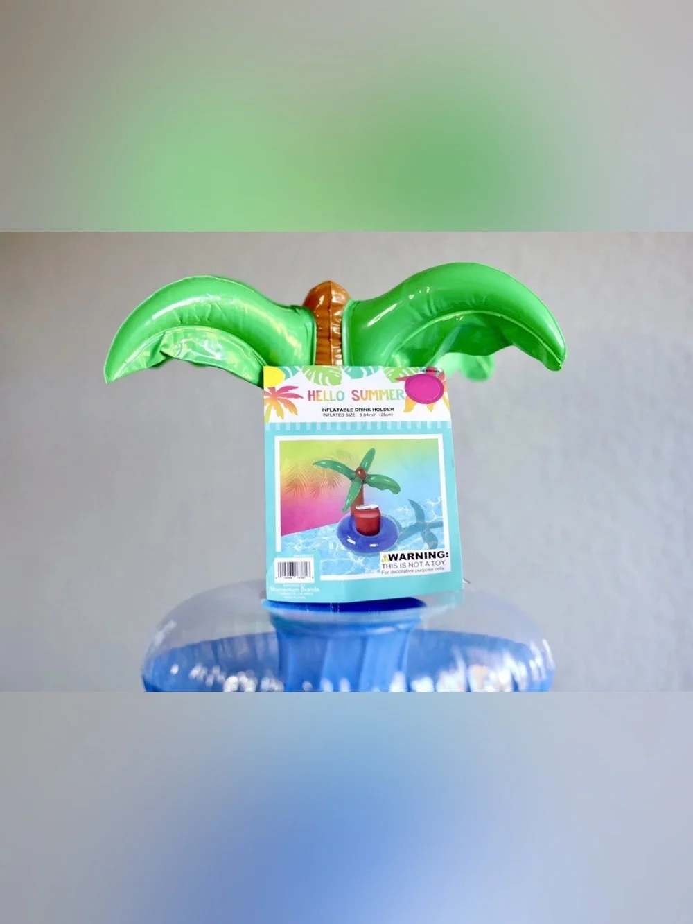 N/A swim ring
