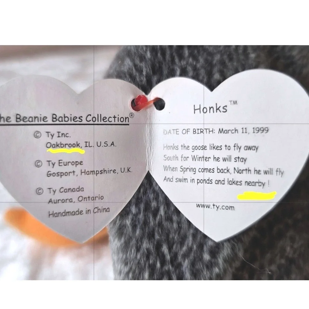Ty errors highlighted