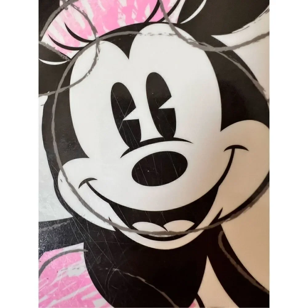 Zak Designs disney minnie