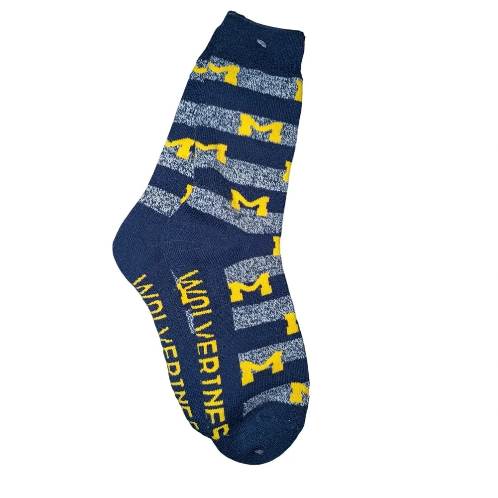 NCAA university michigan