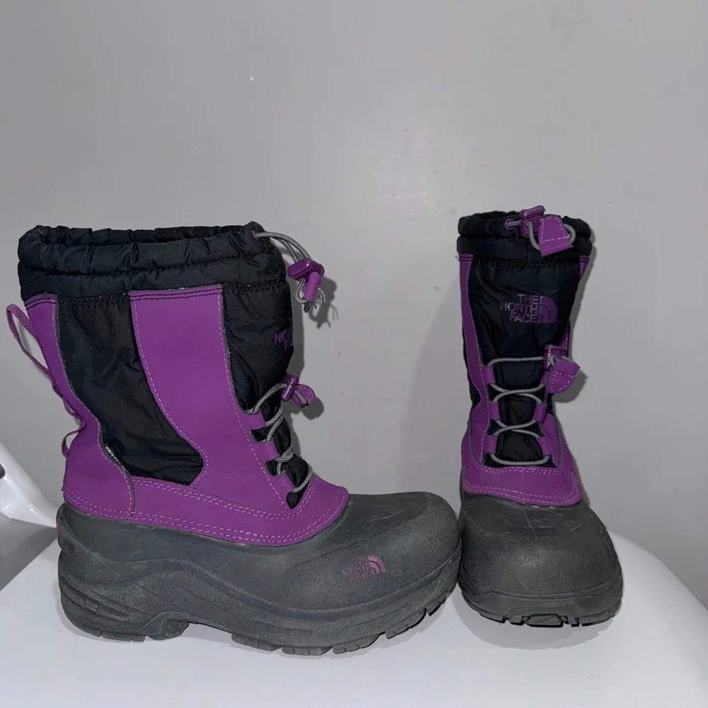 The North Face north face