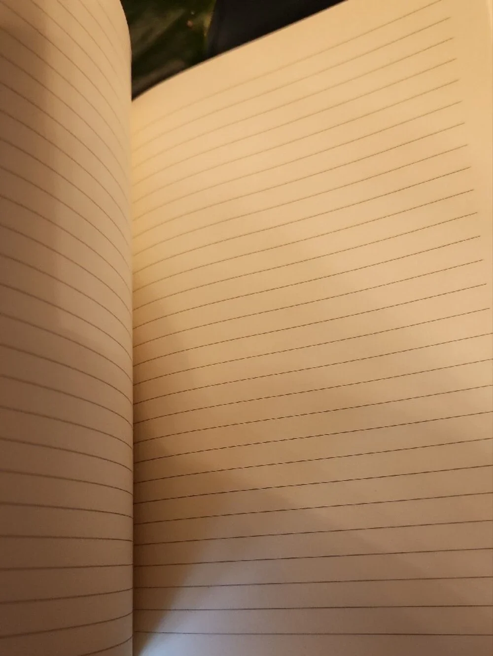 The Unbranded Brand hardcover but