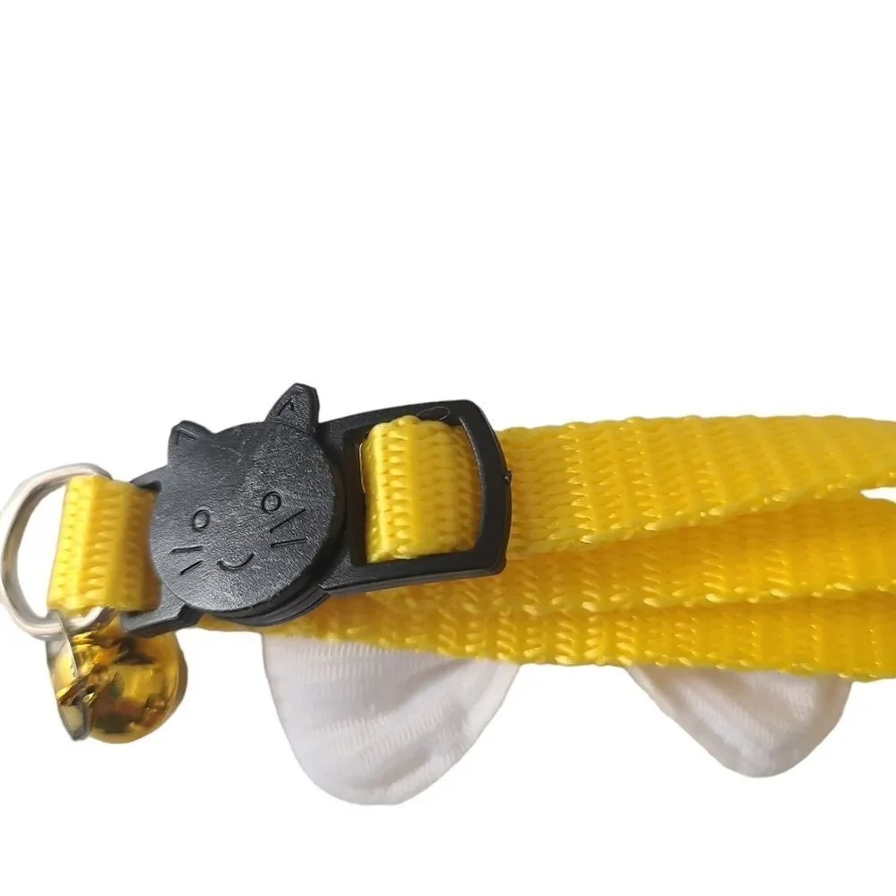 None kitty or
