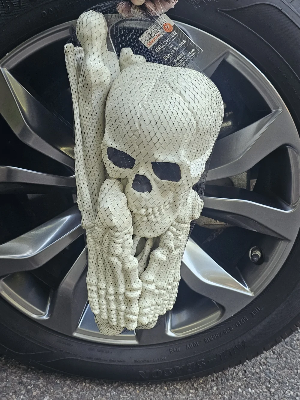 Spirit sets halloween