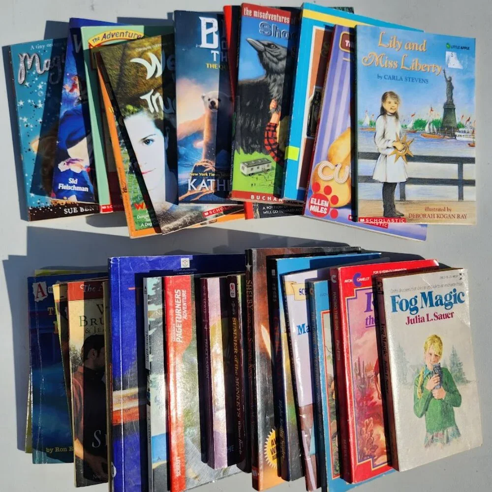 Scholastic buy chosen confidence