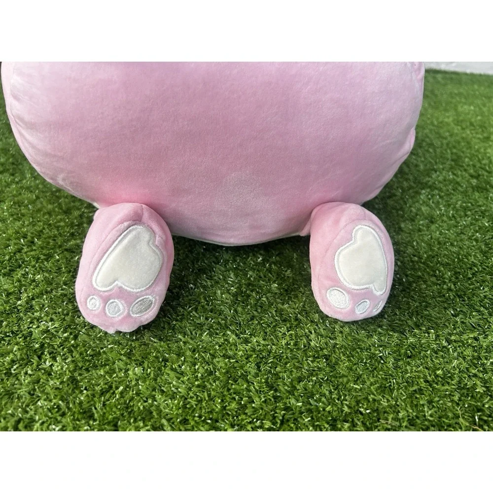 Squishmallows Zyan Pink Axolotl 14