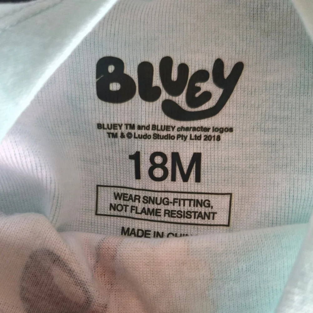 Bluey bingo cute