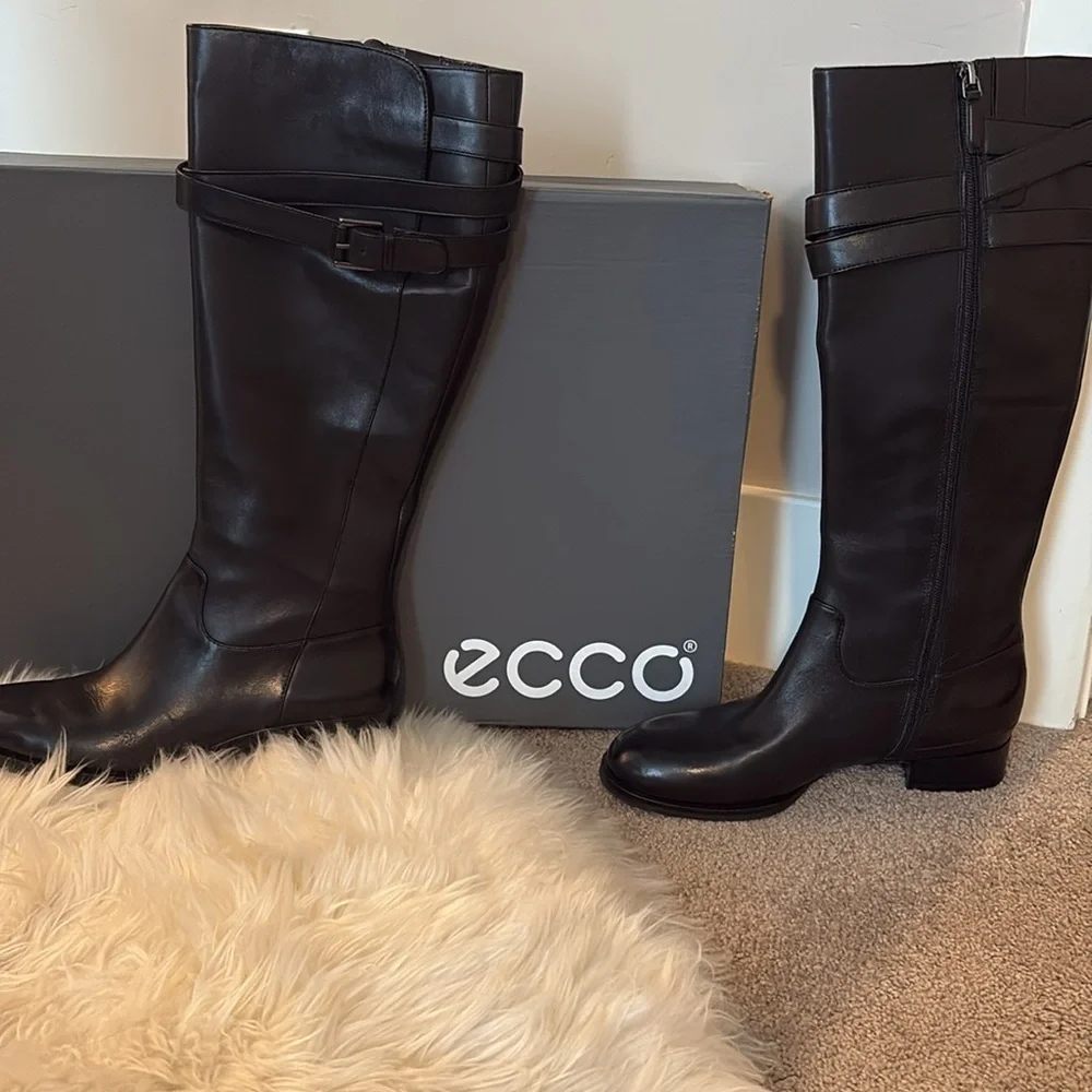 Ecco experience elegance