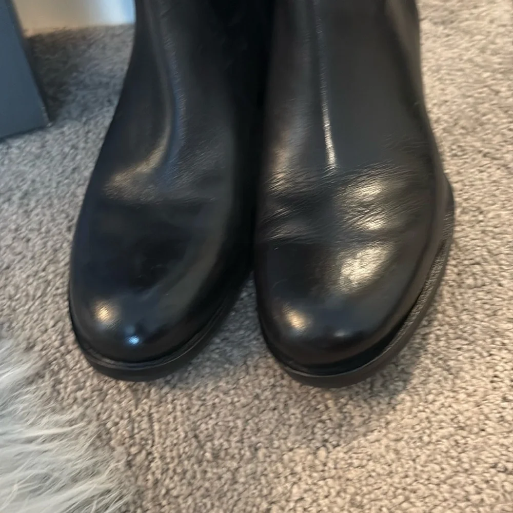 Ecco experience elegance