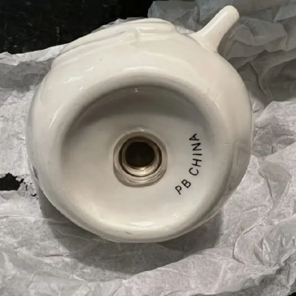 Pottery Barn unused attached closets