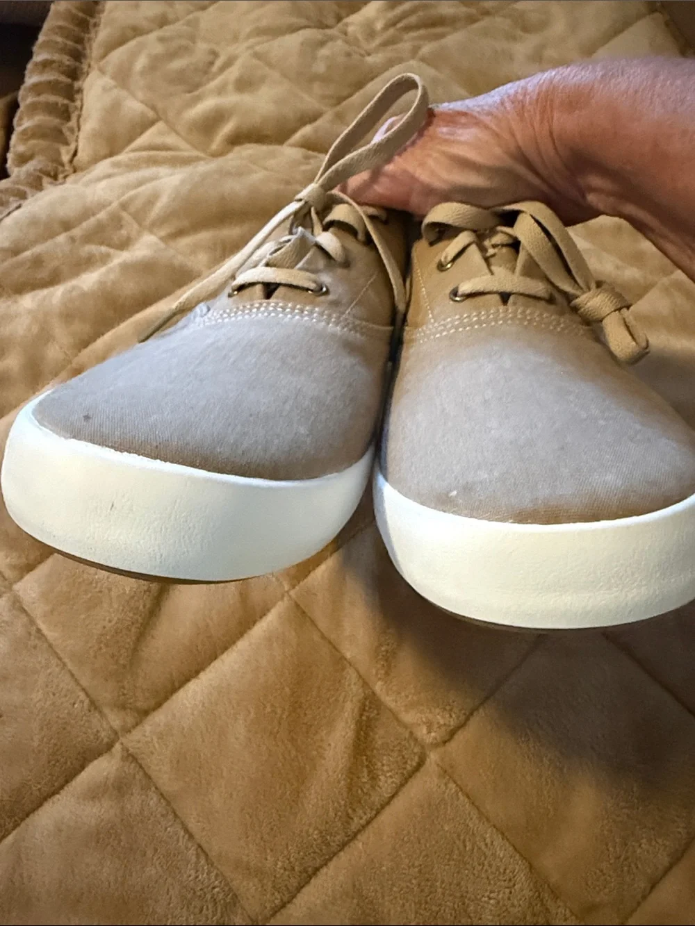 Sperry casual boat