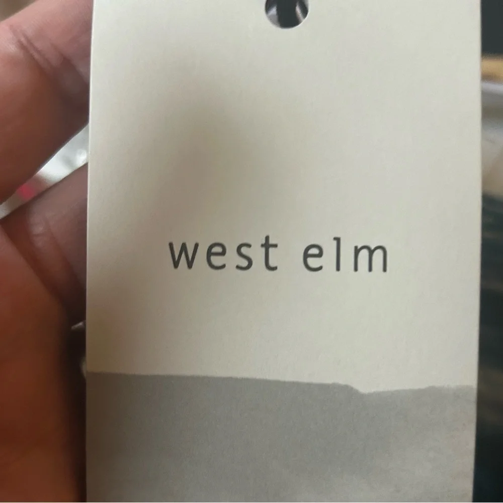 West Elm beautiful abstract